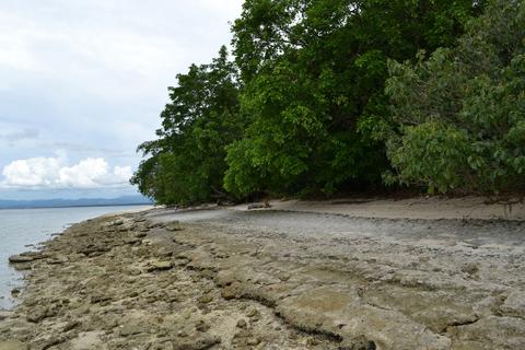 Canigao Island Foreshore, Leyte, Philippines 362 - 3:2