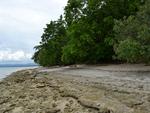 Canigao Island Foreshore, Leyte, Philippines 362 - 4:3