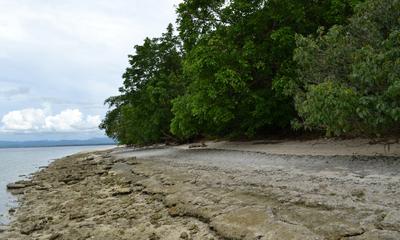 Canigao Island Foreshore, Leyte, Philippines 362 - 5:3