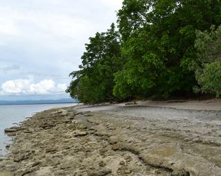 Canigao Island Foreshore, Leyte, Philippines 362 - 5:4