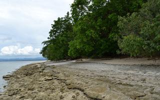 Canigao Island Foreshore, Leyte, Philippines 362 - 8:5