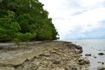 Canigao Island Foreshore, Leyte, Philippines 363 3:2
