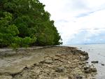 Canigao Island Foreshore, Leyte, Philippines 363 4:3
