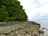 Canigao Island Foreshore, Leyte, Philippines 363 4:3