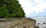 Canigao Island Foreshore, Leyte, Philippines 363 5:3