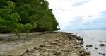 Canigao Island Foreshore, Leyte, Philippines 363 17:9