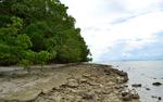 Canigao Island Foreshore, Leyte, Philippines 363 8:5