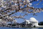 The Thomas Jefferson Memorial, Washington DC, 3:2
