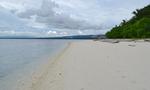 Canigao Island Beaches