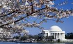 The Thomas Jefferson Memorial, Washington DC, 5:3