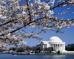 The Thomas Jefferson Memorial, Washington DC, 5:4