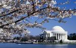 The Thomas Jefferson Memorial, Washington DC, 8:5