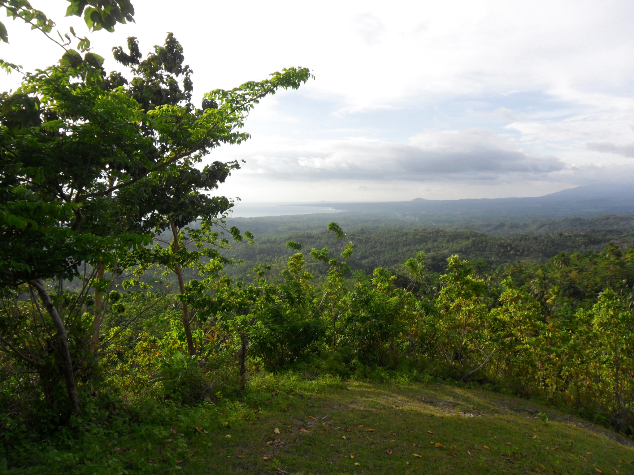 View from Jubilee Hill, Matalom Area, Leyte, Philippines, 4:3