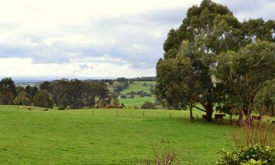 Scenes From Latrobe Valley, Gippsland, Victoria, Australia, 194, 5:3