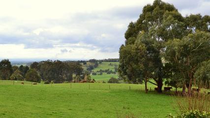 Scenes From Latrobe Valley, Gippsland, Victoria, Australia, 194, 16:9