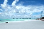 Maldives Beach Scenes